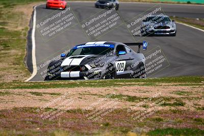 media/Feb-25-2024-Speed Ventures (Sun) [[b9a2a97a4d]]/Mustang Drivers Club/Session 3 (Turn 2)/